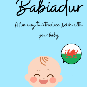 Babiadur
